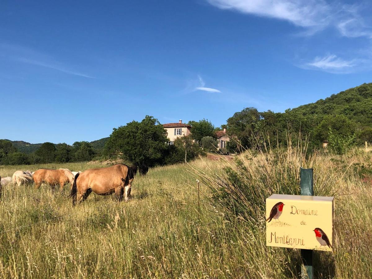 Domaine De Montbarri Bed & Breakfast La Tour-sur-Orb Екстериор снимка