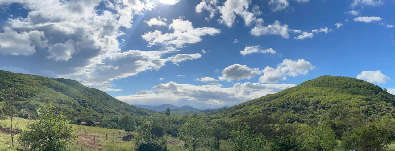 Domaine De Montbarri Bed & Breakfast La Tour-sur-Orb Екстериор снимка