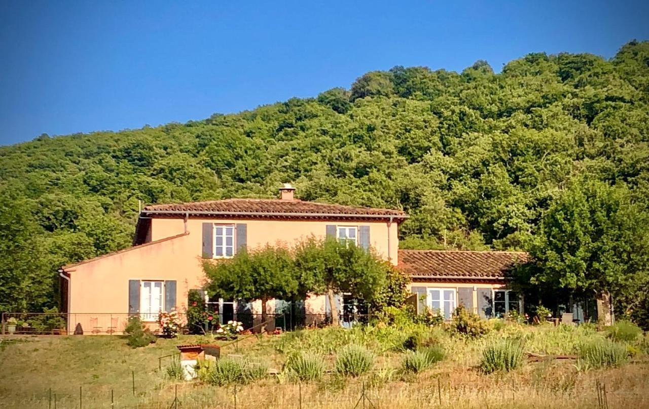 Domaine De Montbarri Bed & Breakfast La Tour-sur-Orb Екстериор снимка